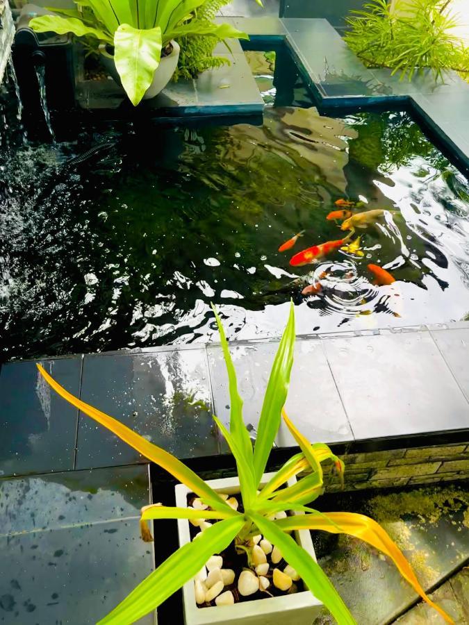 Travellers Halt Hotel Ratnapura Eksteriør billede